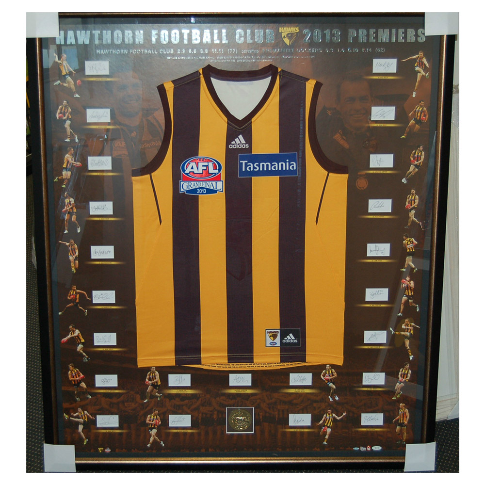 Hawthorn Hawks – 2013 AFL Premiership Premium Team Signed &...
