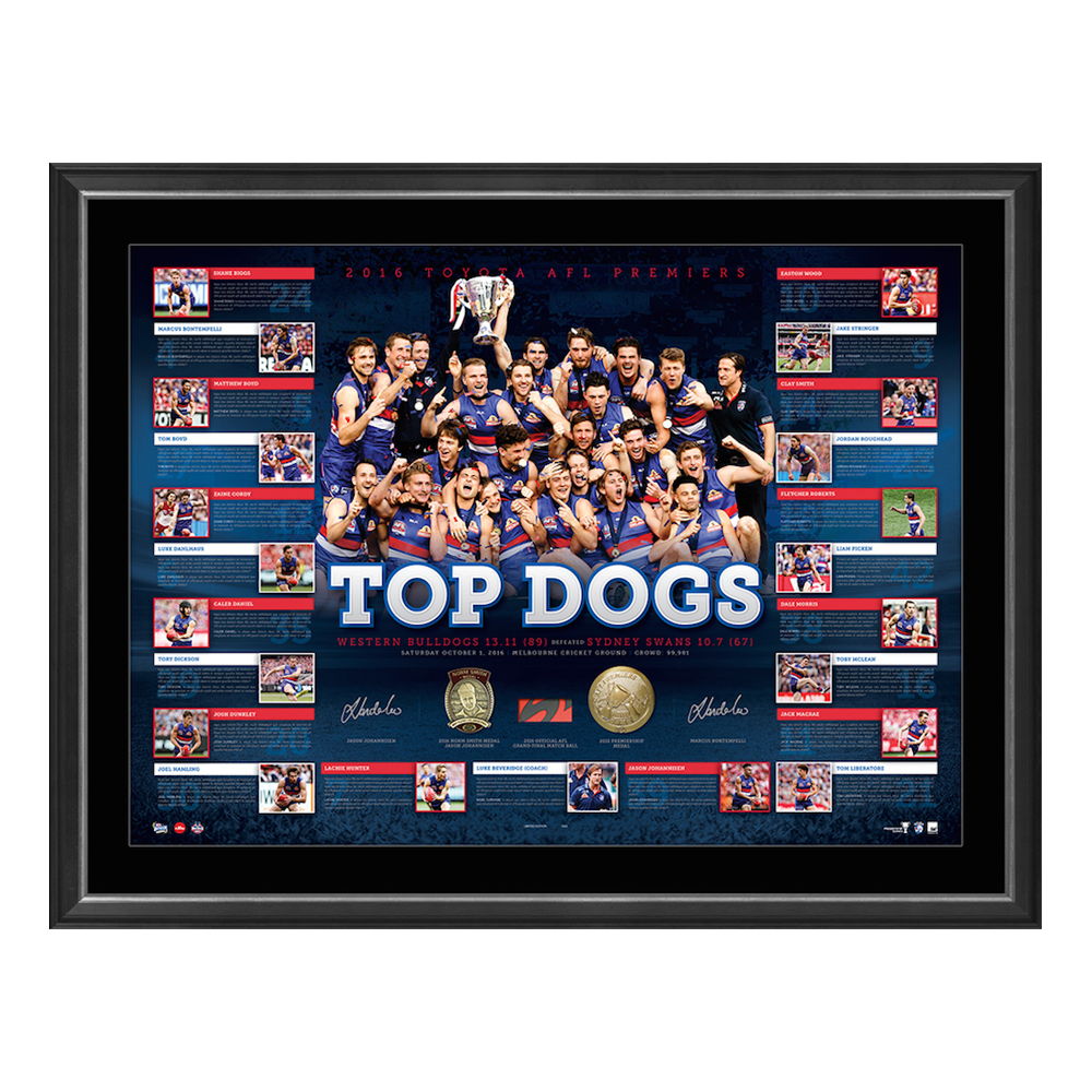 Western Bulldogs – 2016 AFL Premiership Dual Signed and Framed L...